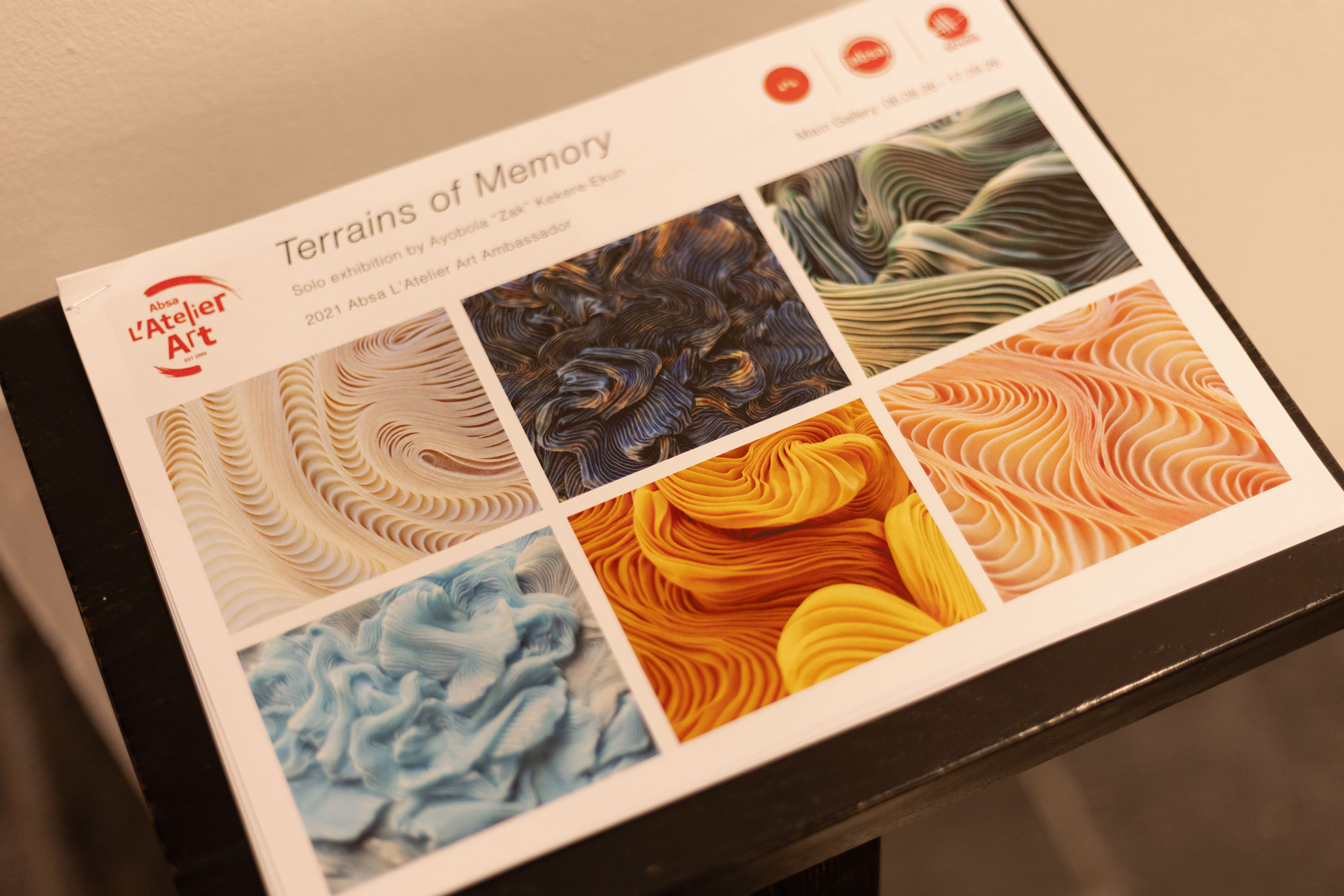 Dr. Ayobola Kekere-Ekun’s Terrains of Memory exhibition at the AVA Gallery in Cape Town