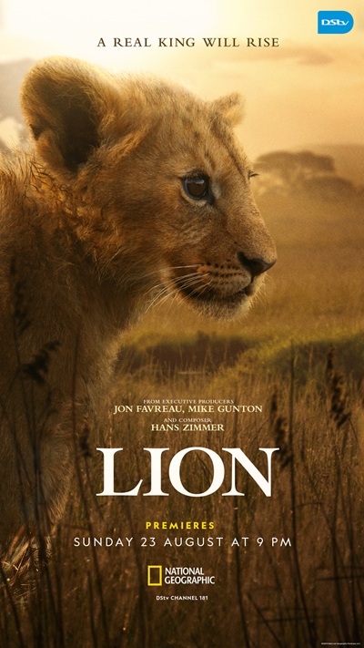 National Geographic LION follows Kio from a lion cub to a king in Kenya’s Maasai Mara