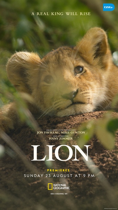 National Geographic LION follows Kio from a lion cub to a king in Kenya’s Maasai Mara