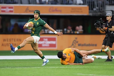 Springboks Wallabies