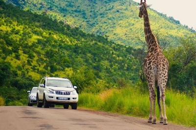 South Africans explore local destinations during Tourism Month 2026